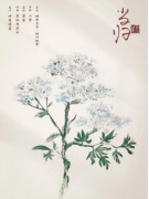 红豆2月光